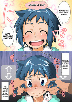 Sei-kun VR