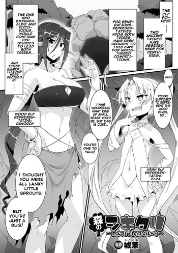Mori no Shikitari ~Erufu Doushi no Kon Kurabe?~