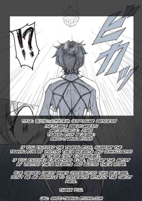 Roshutsu Hime no Hitsuzenteki Kyuuchi