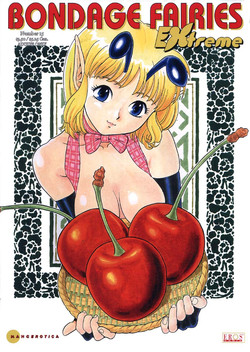 Bondage Fairies Extreme 15