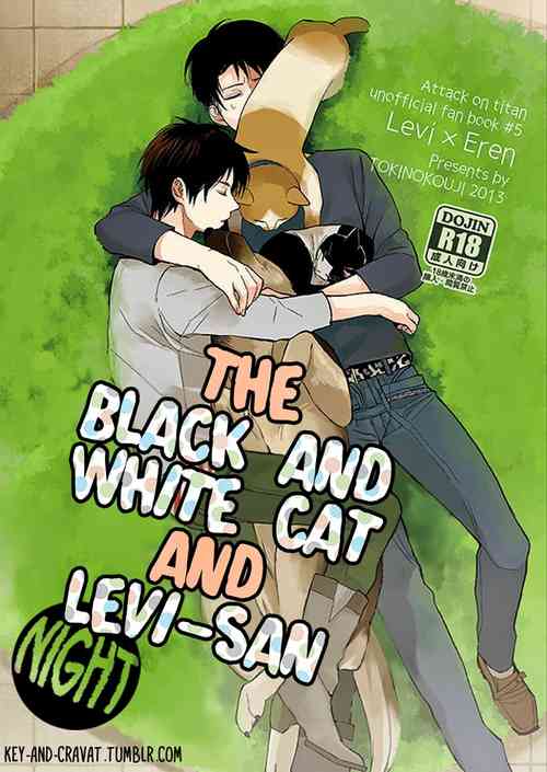 Hachiware to Levi-san [Yoru] | The Black and White Cat and Levi-san