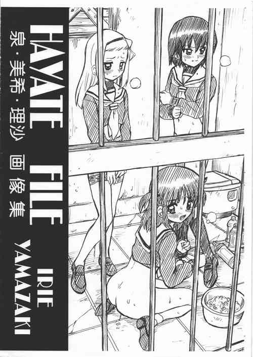 HAYATE FILE - Izumi Miki Risa Gazoushuu