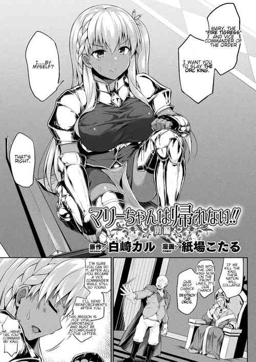 Mary-chan wa Kaerenai!! Zenpen
