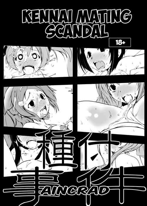 Suitekiya_Suiteki-ka_Yu-minKennai_Mating_Scandal_1_Einclad_2_Fairy_Dance_SAO_The_Complete_Sword_Art_Online