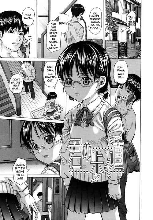 Kimi no Aruku Michi