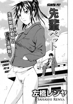 Sempai Pet