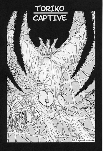 Momoyama Jirou - Kankin Ryoujoku - Toriko