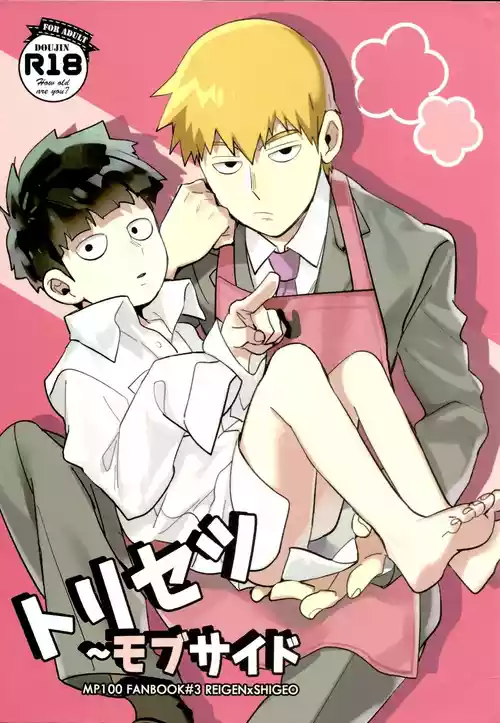 Torisetsu ~ Mob Side – Mob Psycho 100 dj