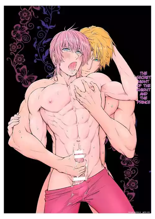 The Knight and the Prince's Secret Night
