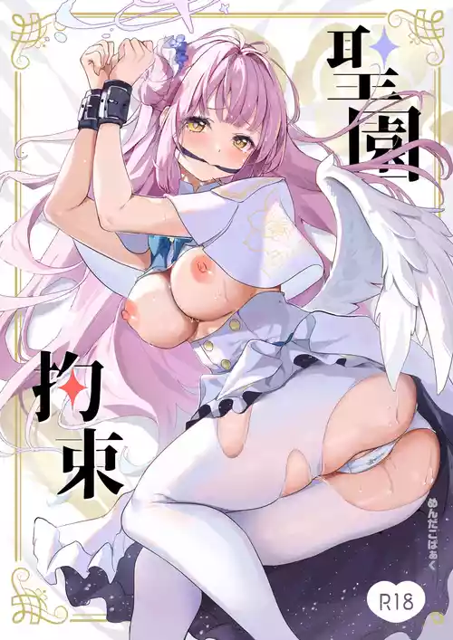 Misono Kousoku | Misono Restraint