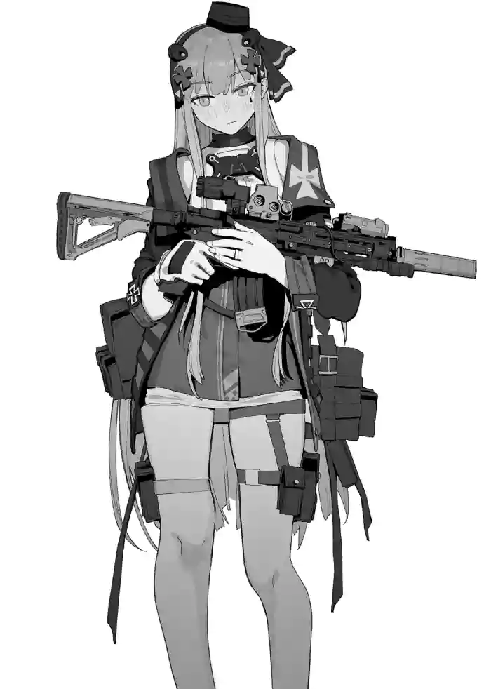 hk416 NTR series