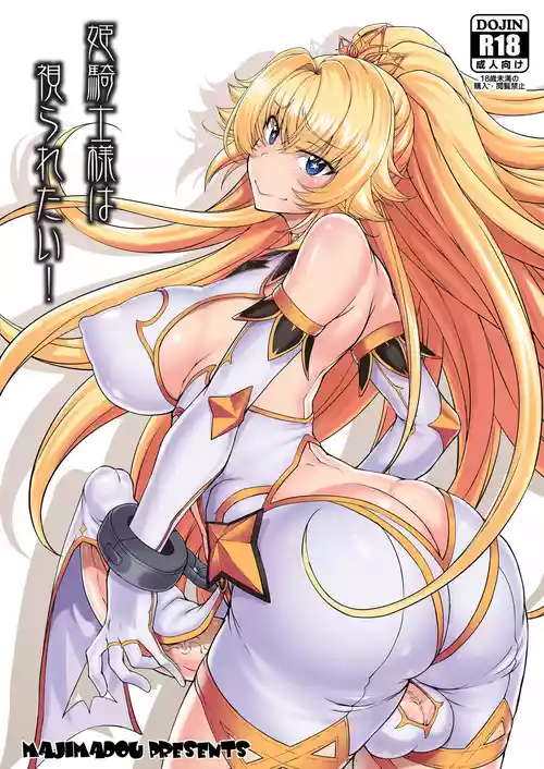 Hime Kishi-sama wa Miraretai! | The Princess Knight Wants to Be Seen!