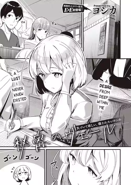 Himitsu no Veil / Veil of Secret