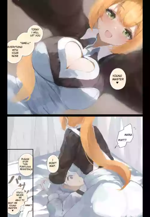 Maid Series Collection