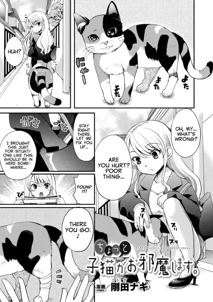 Chotto Koneko ga Ojamashimasu