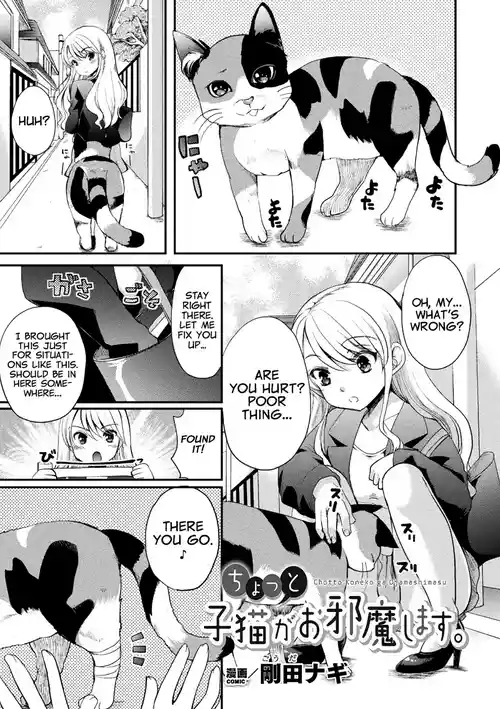 Chotto Koneko ga Ojamashimasu