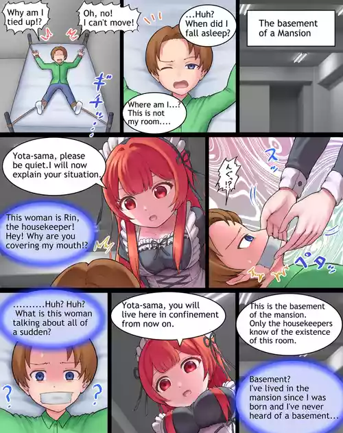 Revenge of the Housekeeper