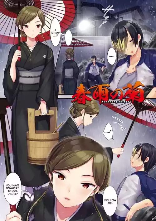 Harusame no Kiku | The Chrysanthemum of the Spring Rain