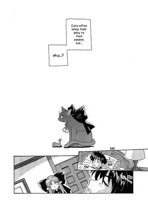 Kuroneko no Len wa Nani wo Omou | What does the Black Cat Len Think of?