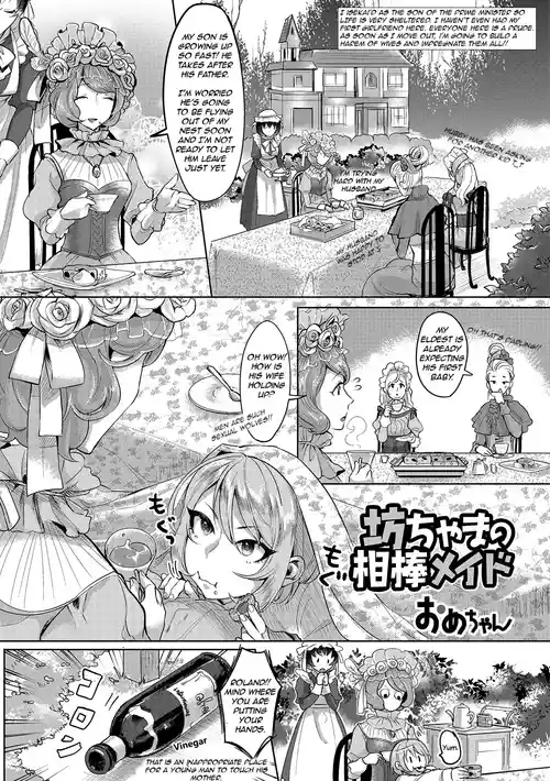 The Young Master’s Partner Maid