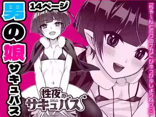 Seiya no Succubus | Hole(y) night Succubus