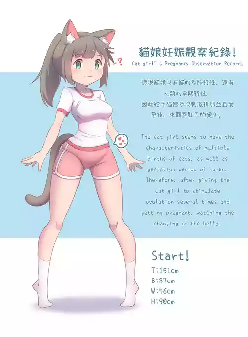 CatChan's Pregnancy Observation Record!
