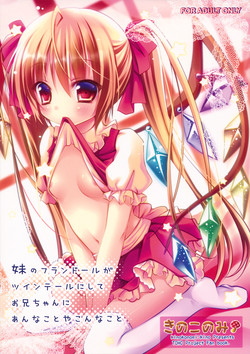 Imouto no Flandre ga Twin Tail ni shite Oniichan ni Anna koto ya Konna koto (Touhou) (English) =Team Vanilla=