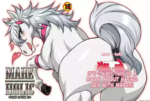 MARE HOLIC