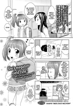 Megu-chan no Recorder | Megu-chan's Recorder (COMIC LO 2011-04) [English] =LWB=