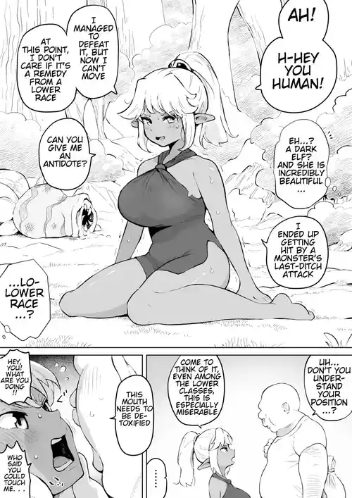 Ugokenai Dark Elf ni Suki Katte suru Hanashi | A Story About Doing Whatever You Want to a Dark Elf Who Can't Move