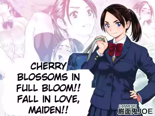 Cherry Blossoms in Full Bloom!! Fall in Love, Maiden!!