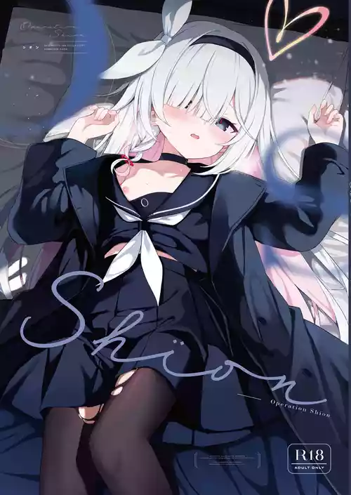 Operation Shion