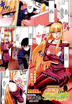 Niizuma wa Elf-kko | My Wife Is an Elf (COMIC Megastore 2011-04) [English] =TV=