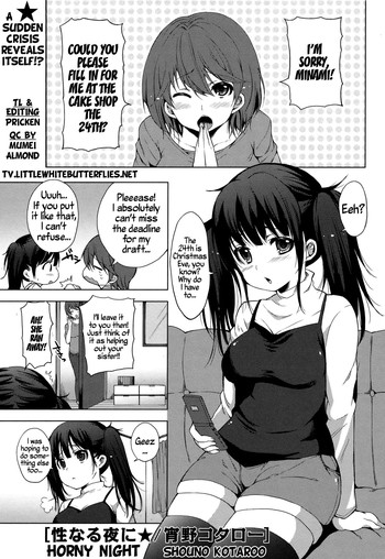 Seinaru Yoru ni | Horny Night (COMIC Masyo 2011-02) [English] =TV=