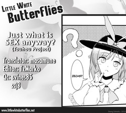 Just What Is Sex Anyway? (Touhou Project) [English] =Little White Butterflies=
