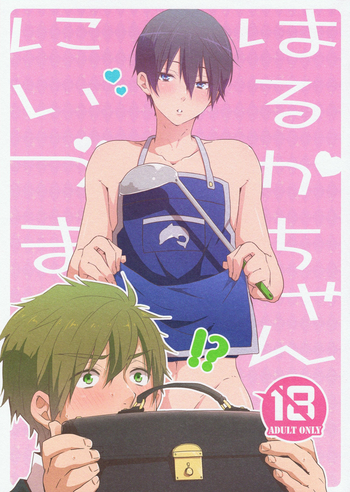 Niizuma Haruka-chan | New Wife Haruka-chan